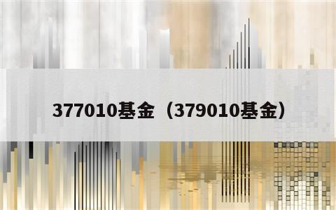 377010基金（379010基金）
