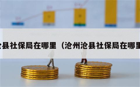沧县社保局在哪里（沧州沧县社保局在哪里）