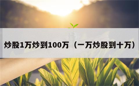 炒股1万炒到100万（一万炒股到十万）