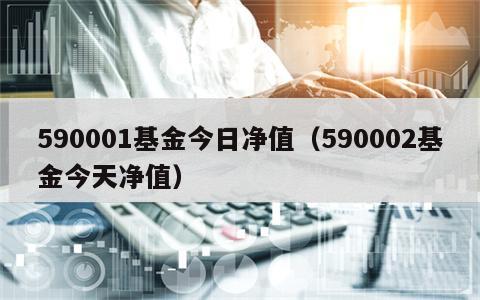590001基金今日净值（590002基金今天净值）