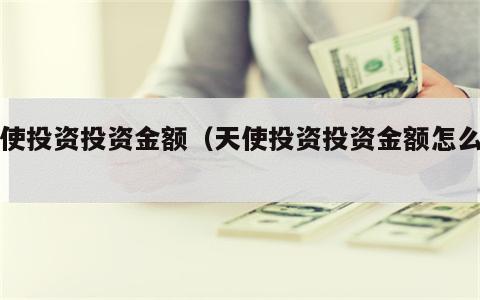 天使投资投资金额（天使投资投资金额怎么算）