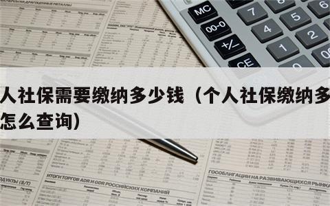 个人社保需要缴纳多少钱（个人社保缴纳多少钱怎么查询）