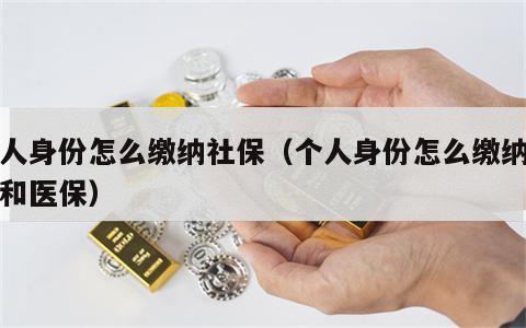 个人身份怎么缴纳社保（个人身份怎么缴纳社保和医保）