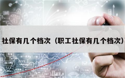 社保有几个档次（职工社保有几个档次）
