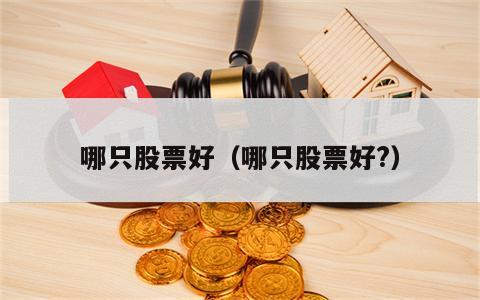 哪只股票好（哪只股票好?）