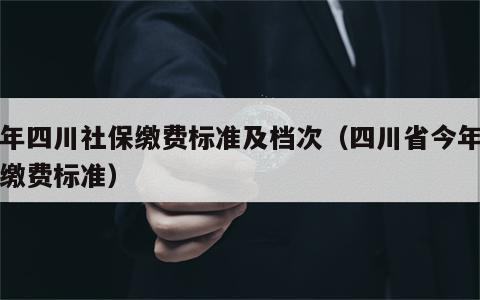 今年四川社保缴费标准及档次（四川省今年社保缴费标准）