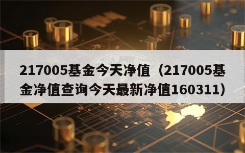 217005基金今天净值（217005基金净值查询今天最新净值160311）