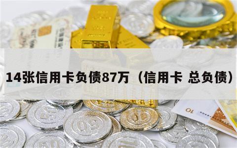 14张信用卡负债87万（信用卡 总负债）