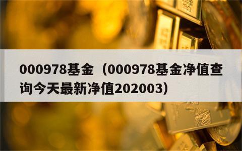 000978基金（000978基金净值查询今天最新净值202003）