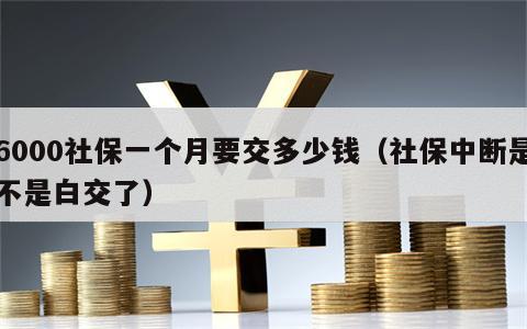 6000社保一个月要交多少钱（社保中断是不是白交了）