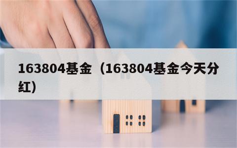 163804基金（163804基金今天分红）