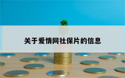 关于爱情网社保片的信息