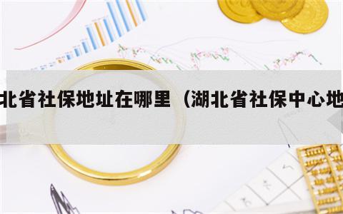 湖北省社保地址在哪里（湖北省社保中心地址）