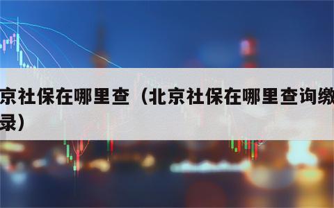 北京社保在哪里查（北京社保在哪里查询缴费记录）