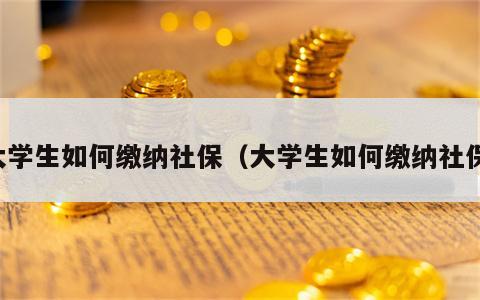 大学生如何缴纳社保（大学生如何缴纳社保）