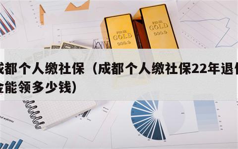 成都个人缴社保（成都个人缴社保22年退休金能领多少钱）
