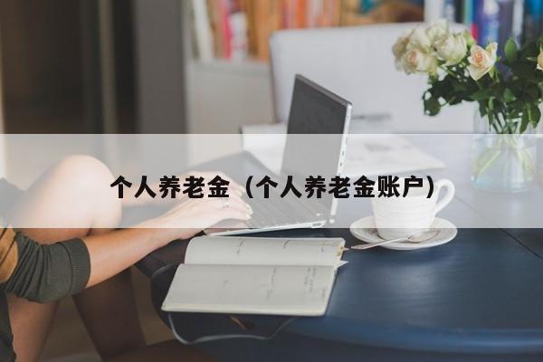 个人养老金（个人养老金账户）