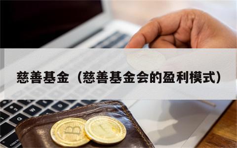 慈善基金（慈善基金会的盈利模式）