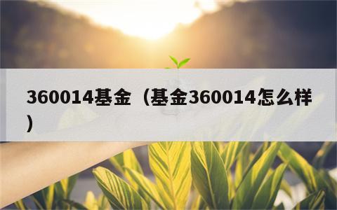 360014基金（基金360014怎么样）