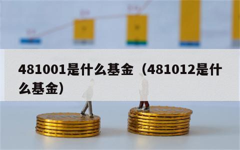 481001是什么基金（481012是什么基金）