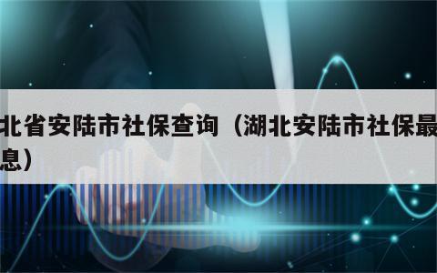 湖北省安陆市社保查询（湖北安陆市社保最新消息）