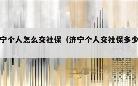 济宁个人怎么交社保（济宁个人交社保多少钱）