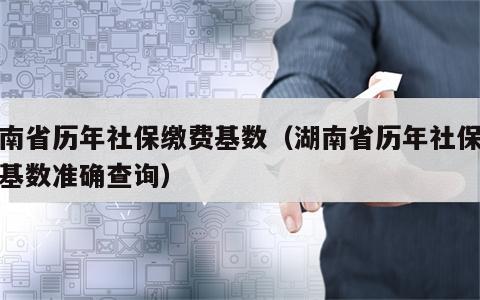 湖南省历年社保缴费基数（湖南省历年社保缴费基数准确查询）