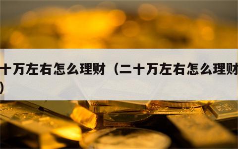 二十万左右怎么理财（二十万左右怎么理财赚钱）