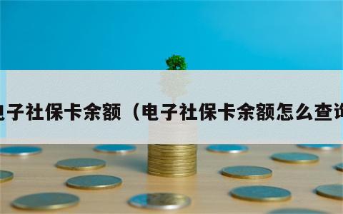 电子社保卡余额（电子社保卡余额怎么查询）