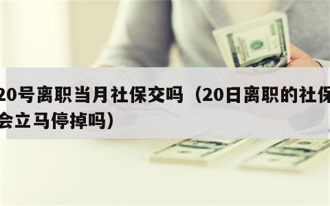 20号离职当月社保交吗（20日离职的社保会立马停掉吗）