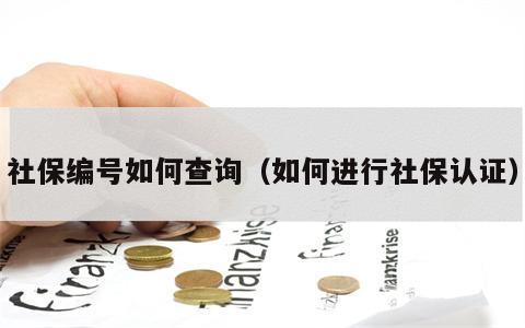 社保编号如何查询（如何进行社保认证）