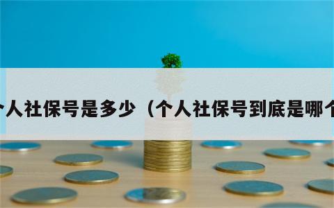 个人社保号是多少（个人社保号到底是哪个）