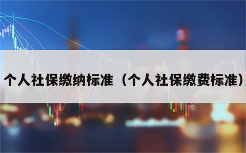 个人社保缴纳标准（个人社保缴费标准）