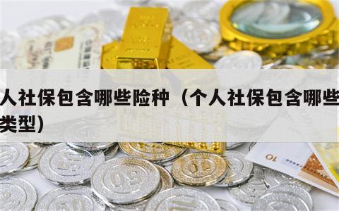 个人社保包含哪些险种（个人社保包含哪些险种类型）