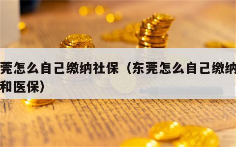 东莞怎么自己缴纳社保（东莞怎么自己缴纳社保和医保）