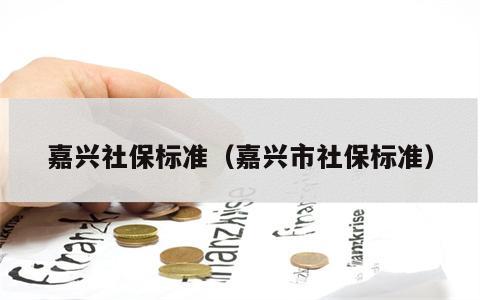 嘉兴社保标准（嘉兴市社保标准）