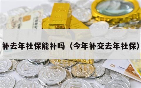 补去年社保能补吗（今年补交去年社保）