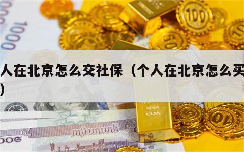 个人在北京怎么交社保（个人在北京怎么买社保）