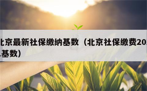 北京最新社保缴纳基数（北京社保缴费2021基数）