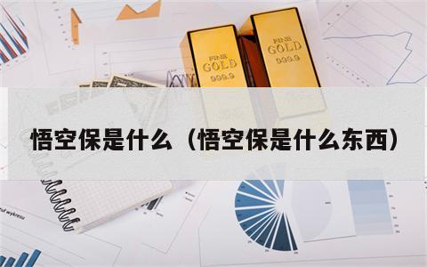 悟空保是什么（悟空保是什么东西）