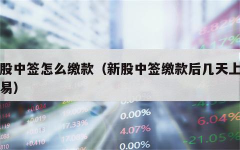 新股中签怎么缴款（新股中签缴款后几天上市交易）