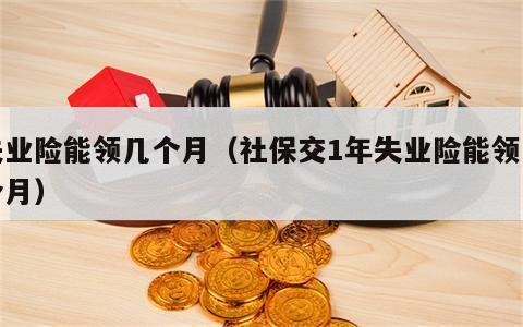 失业险能领几个月（社保交1年失业险能领几个月）