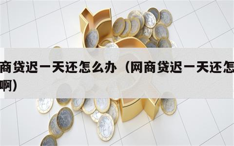 网商贷迟一天还怎么办（网商贷迟一天还怎么办啊）