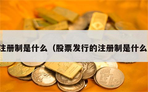 注册制是什么（股票发行的注册制是什么）