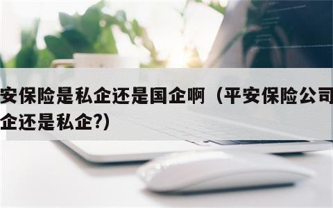 平安保险是私企还是国企啊（平安保险公司是国企还是私企?）