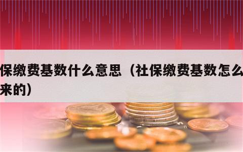 社保缴费基数什么意思（社保缴费基数怎么算出来的）