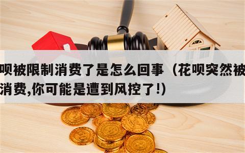 花呗被限制消费了是怎么回事（花呗突然被限制消费,你可能是遭到风控了!）