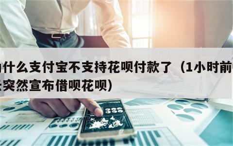 为什么支付宝不支持花呗付款了（1小时前马云突然宣布借呗花呗）