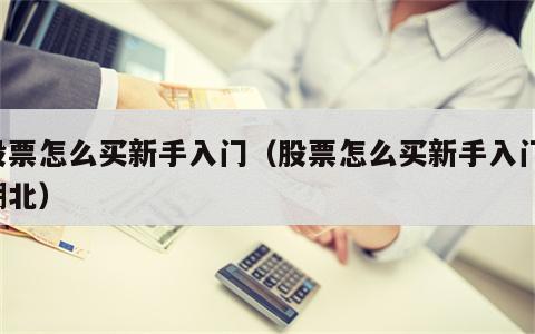 股票怎么买新手入门（股票怎么买新手入门 湖北）