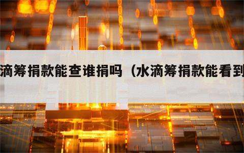 水滴筹捐款能查谁捐吗（水滴筹捐款能看到吗）